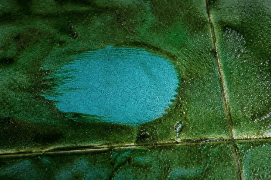 Original glazed tiles under algae, colour still bright where a hand has wiped them clean.